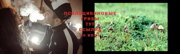 ALPHA PVP Костерёво