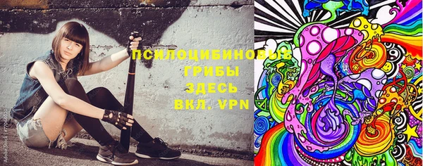 меф Корсаков