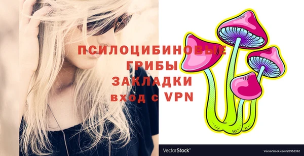 PSILOCYBIN Красноперекопск