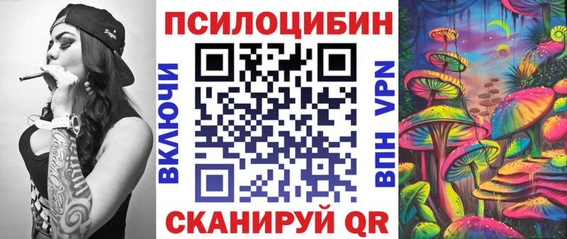 Псилоцибиновые грибы мицелий  где купить наркотик  Медвежьегорск 