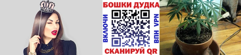 Каннабис MAZAR  Медвежьегорск 